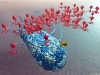 bacteriophage-atacando-a-bacteria-fuente-scientific-images