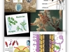 biodiversidad-del-suelo-micorrizas-bacterias