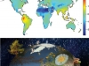 diversidad-hongos-del-mundo