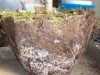 ecologia-del-suelo-fuente-blog-ecologia