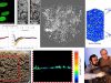 encimas-microbios-poros-suelo