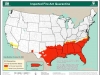 hormigas-rojas-invasion-usa
