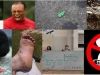 ig-nobel-chicle-suelo-bacterias