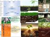 interaccion-biota-plantas