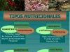 los-microorganismos-litotrofos