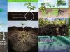 microbioma-planta-suelo