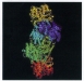 o_Estructura tridimensional del complejo enzimatico Nitrogenasa a fierro y molibdeno