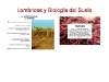 o_Lombrices y Biologia del Suelo