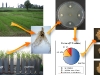 o_Supperive soils busqueda foto google gaeuma