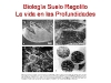 o_o_Biologia Suelo Regolito
