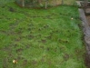 o_topos_monticulos Fuente infojardin
