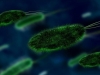 pseudouridimycina-nuevo-antibiotico-del-suelo