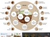 soil-bon-biodiversidad-del-suelo