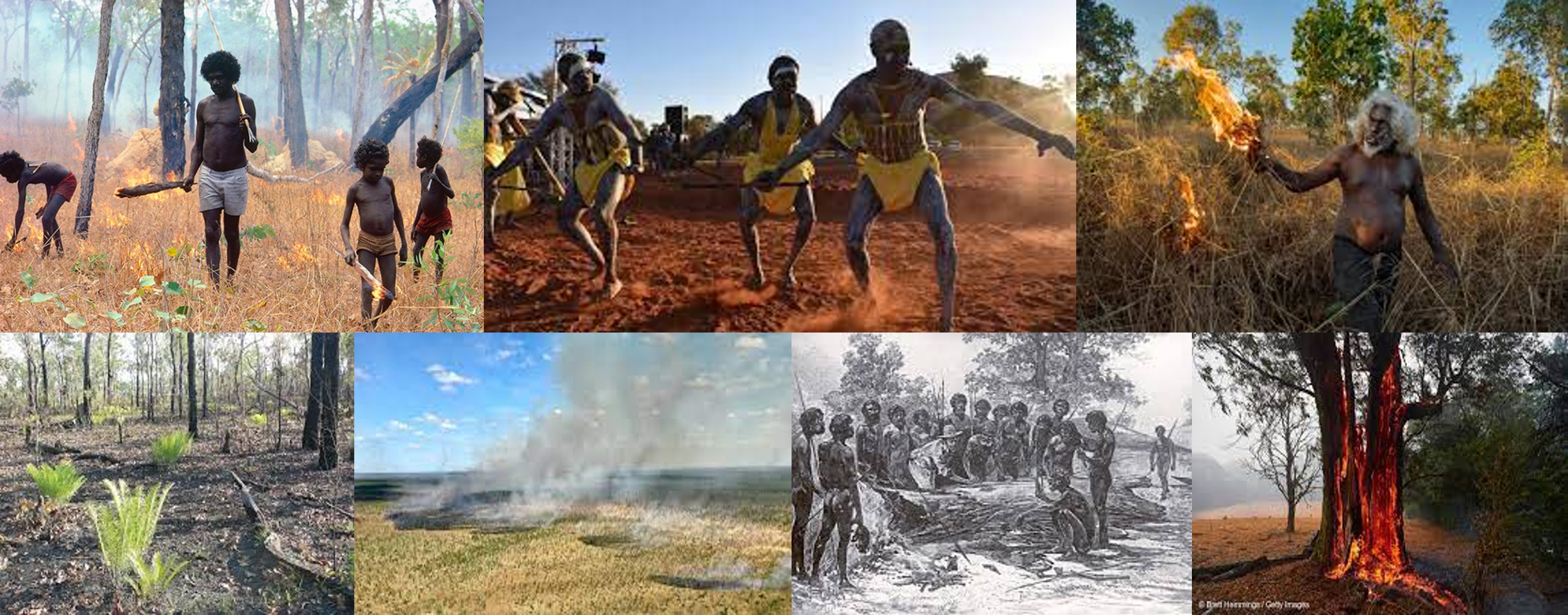 agricultura-indigena-australiana