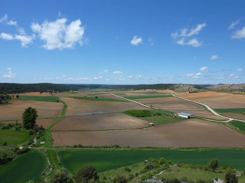 calatanazor-paisaje-de-suelos-soria