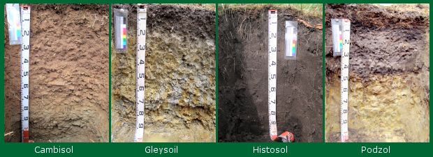 cambisoles-y-otros-grupos-de-suelos-de-referencia-de-la-wrb-fuente-biosoil-proyect