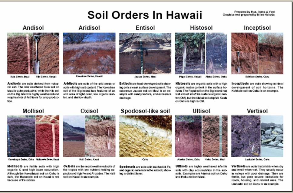 Hawaii-ordenes de suelos Según la USDA Soil Taxonomy