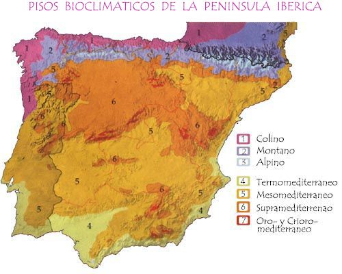pisos-de-vegetacion-de-espana