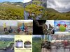 Antartico-Artico-verdes