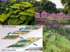 Biodiversidad-agricultura-dehesas