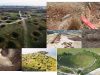Guerra-contaminacion-edafogenesis-divergente