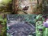 agricultura-aves2