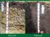 cambisoles-y-otros-grupos-de-suelos-de-referencia-de-la-wrb-fuente-biosoil-proyect