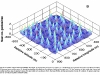 estrucura-de-las-sabanas-y-termiras-1-fuente-plos-biology-1
