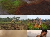 incendio-turberas-indonesia-aceite-de-palma