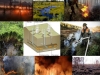incendios-zombi-del-suelo-siiberia