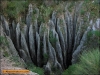karst-de-yesos-sorbas-almeria-fuente-almeria-natura