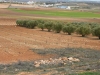 la-mancha-2