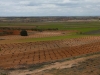 la-mancha-juanjo