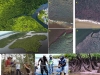 manglares-fertilidad-del-suelo-y-huracanes