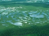 northern-peatlandspeatlands-hudson-bay-lowlands-credi-gord-mckenna