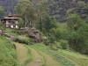 o_Asia farm bhutan_farm