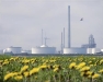 o_Tel aviv industrial-farm