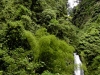 o_TrafalgarFalls bosquetropical Dominica