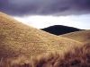 o_terracecets 5saje_paja_cerro_en_sombra5by7at72