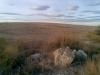 paisaje-con-suelos-yesiferos-y-vegetacion-gypsofila-fuente-zuera_walkscape