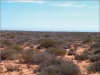 paisaje-de-suelos-con-gypsisoles-fuente-esb