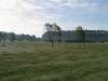 paisaje-vertisoles-humico-gleycos-blog-el-cuerto-de-los-chismes