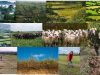 pastoreo-intensivo-calidad-de-suelos