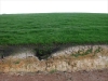 podzol-uso-fuente-teara
