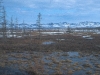 turberas-en-la-tundra-siberiana-fuente-upep-wcmctundrawetland2