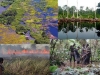 turberas-y-paleoclimas