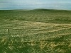 vertisol-landscape-univesity-of-idaho