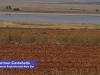 video-suelos-humedales