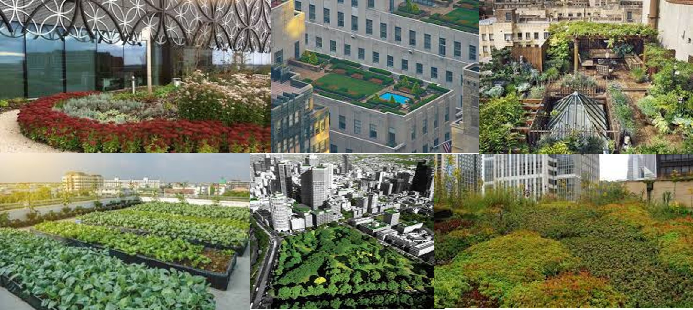 Jardines-urbanos-agricultura-urbana