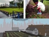 suelos-periurbanos-contaminacion